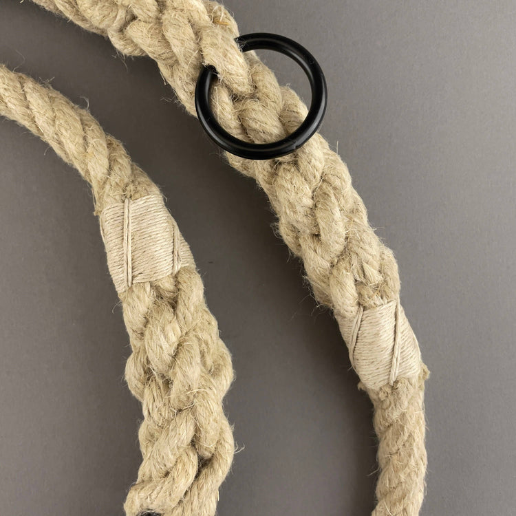Halsband und Leinen