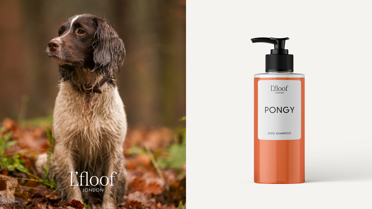 Natürliches Hundeshampoo — Orange/May Chang 300 ml