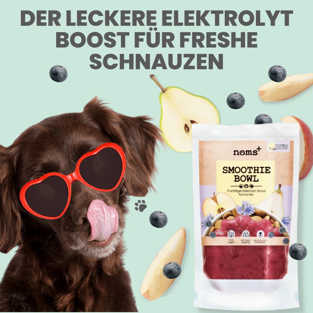 Hunde Smoothie-Bowl