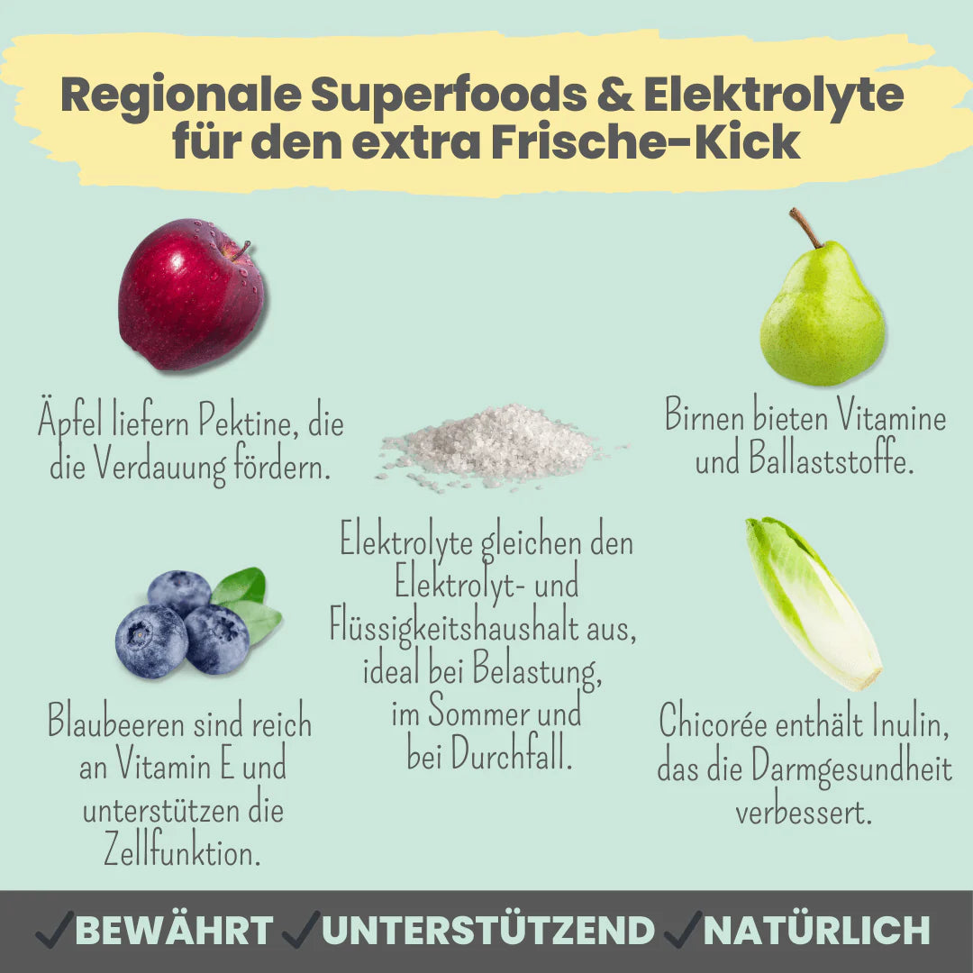 Hunde Smoothie-Bowl