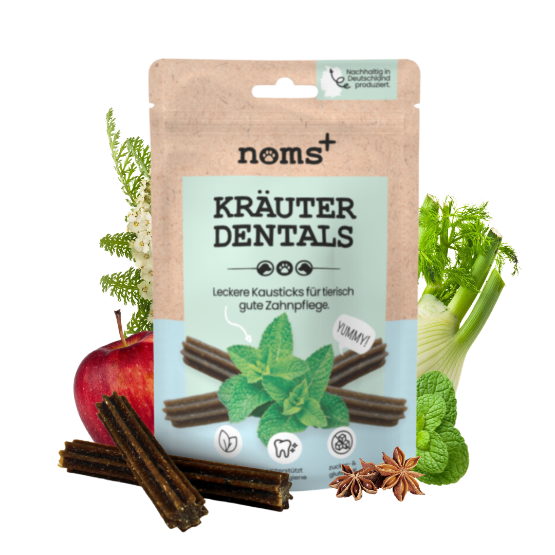 Kräuter Dentals für Hunde