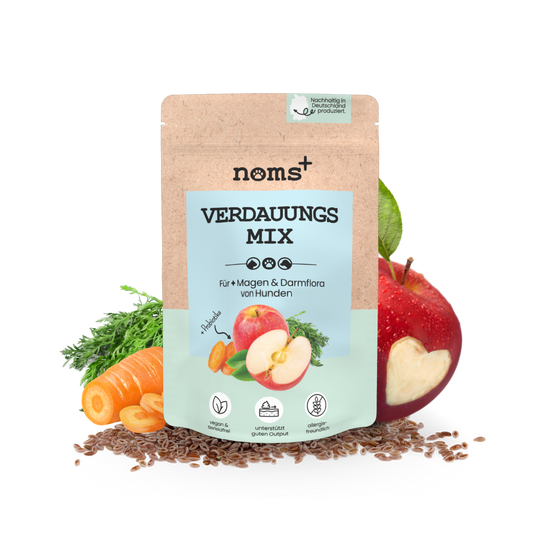 Verdauungsmix für Hunde als Probiotikum