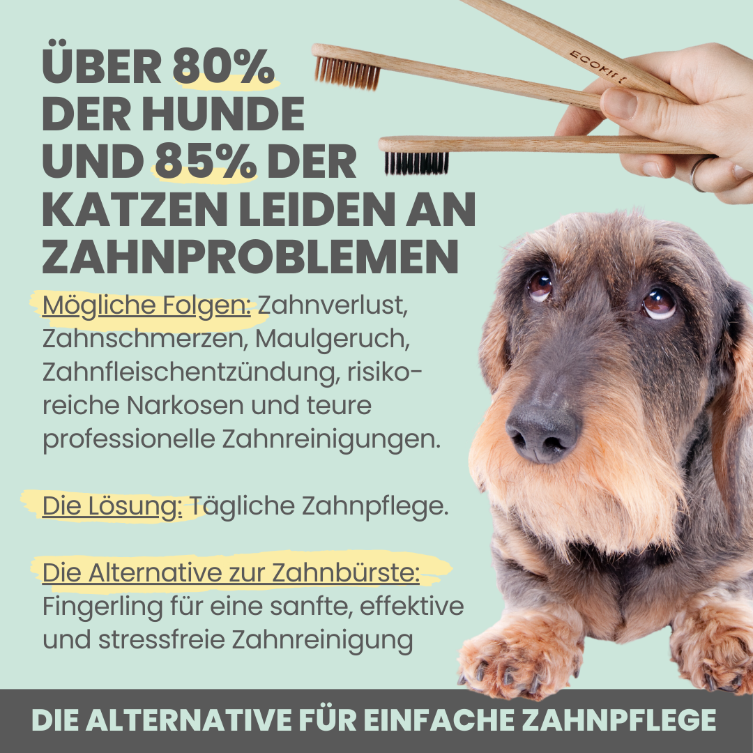 Zahn-Fingerling für Hunde mit Silberionen