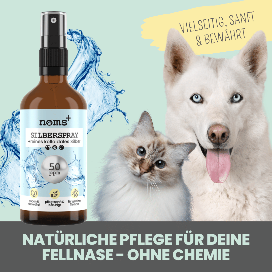 Silberspray für Hunde und Katzen