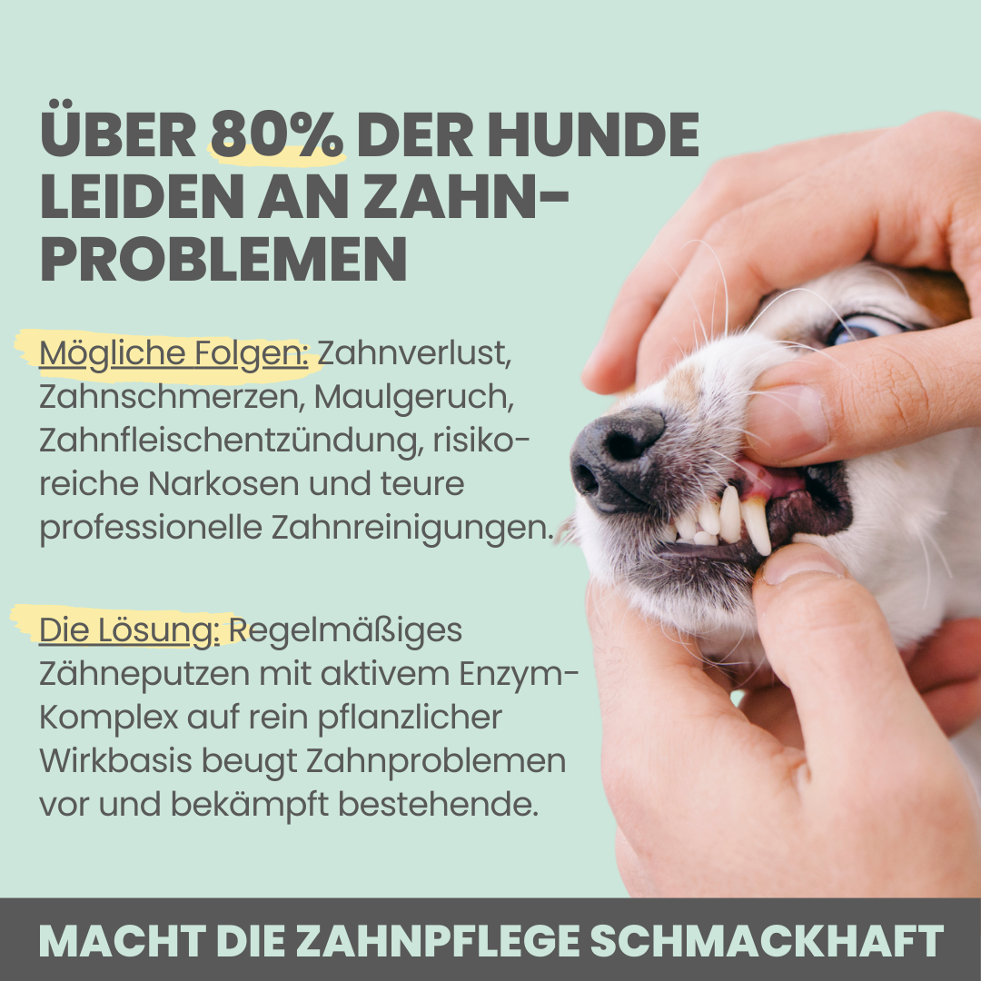 Zahnpasta für Hunde