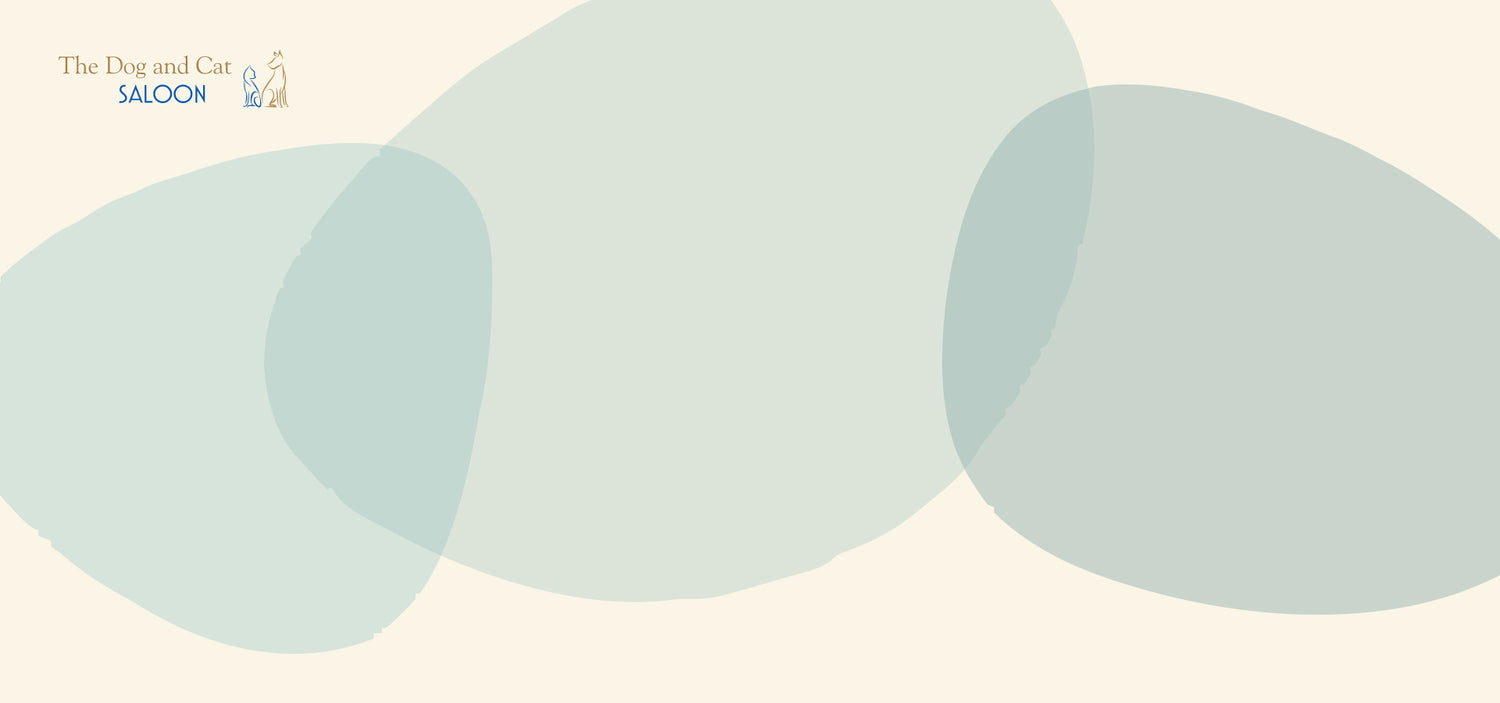 The Dog and Cat Saloon