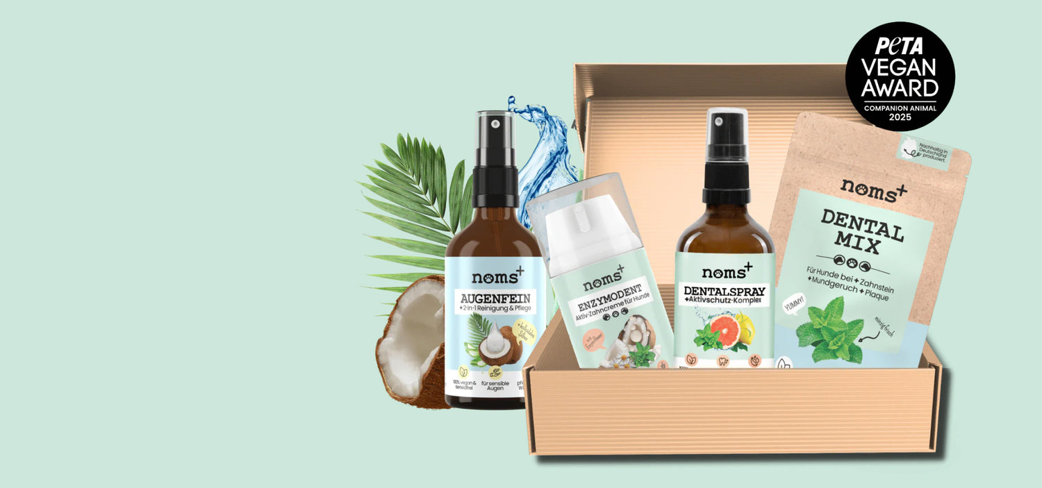 The Dog and Cat Saloon