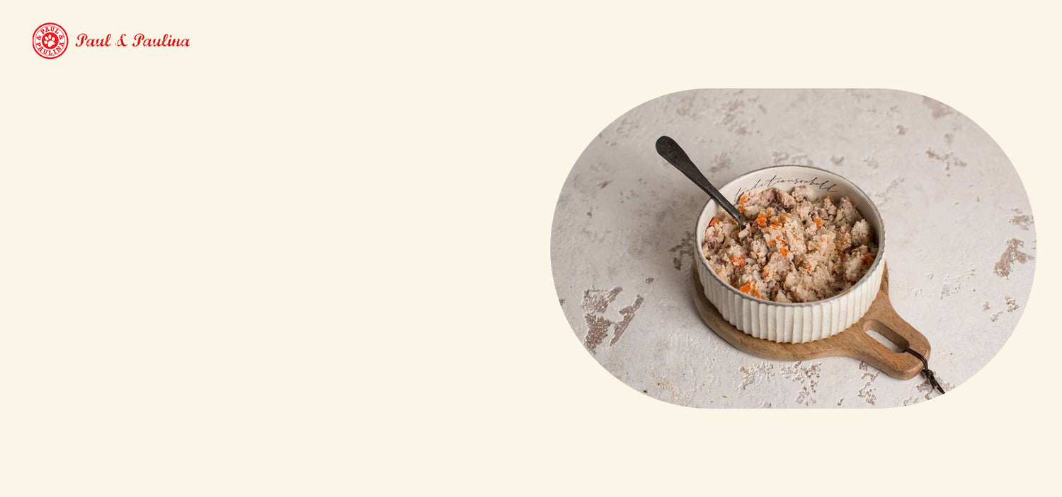 The Dog and Cat Saloon