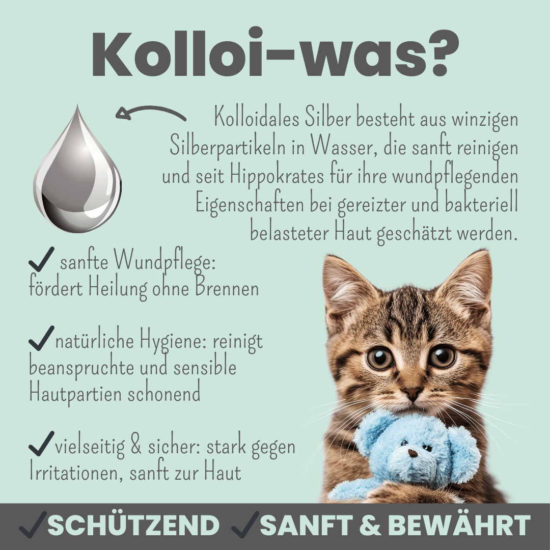 Silberspray für Hunde und Katzen