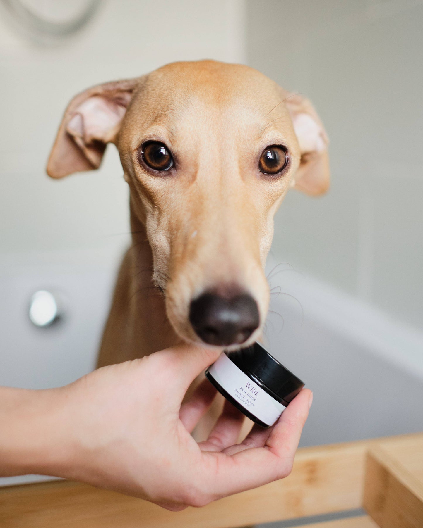 Superweich: Bio-Conditioner für Hunde: 150 ml mit Pumpe