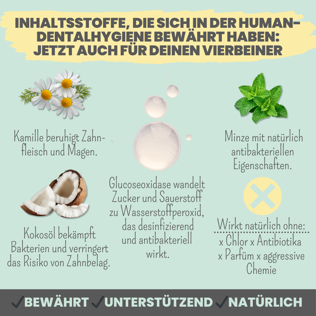 Zahnpasta für Hunde
