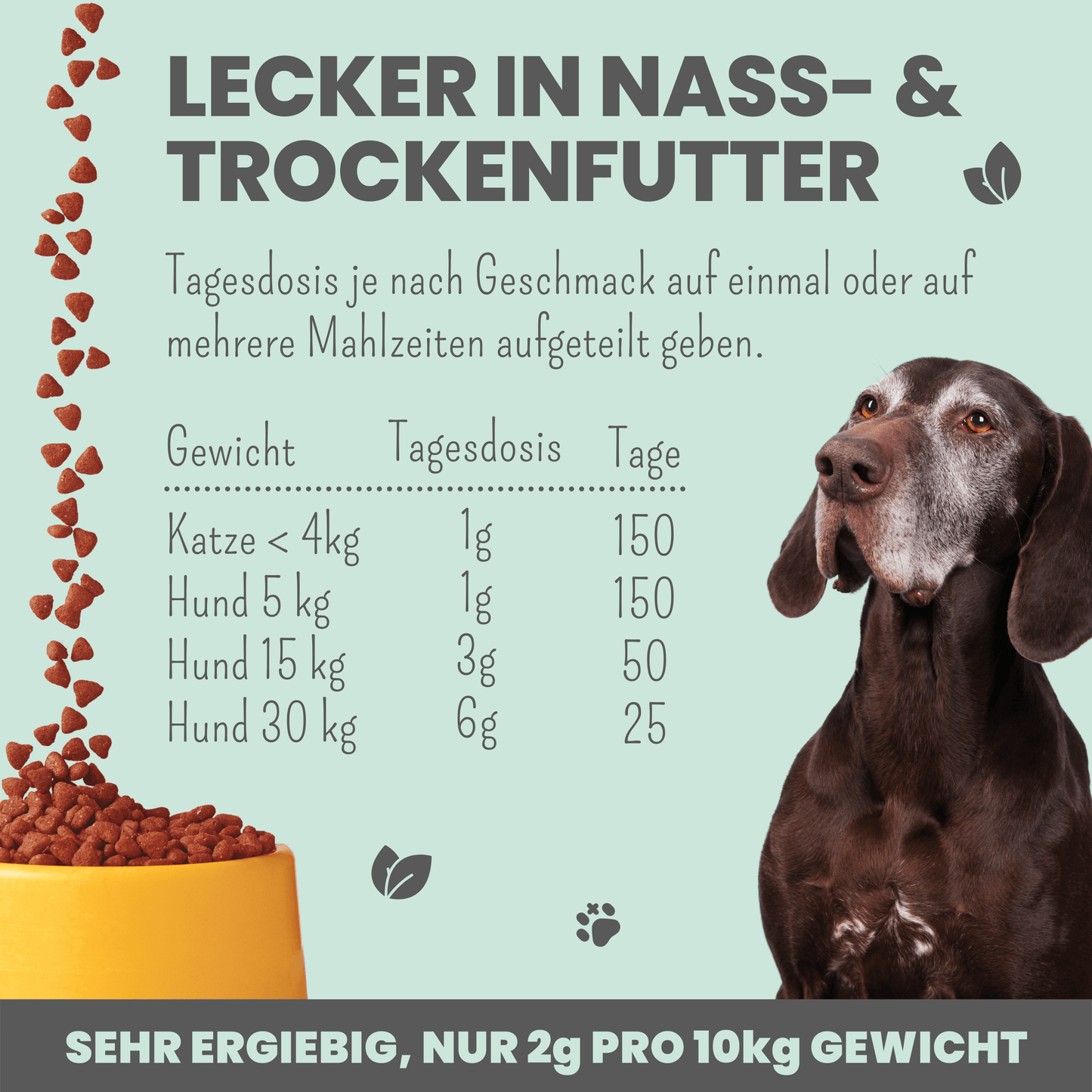 Gelenkmix für Hunde