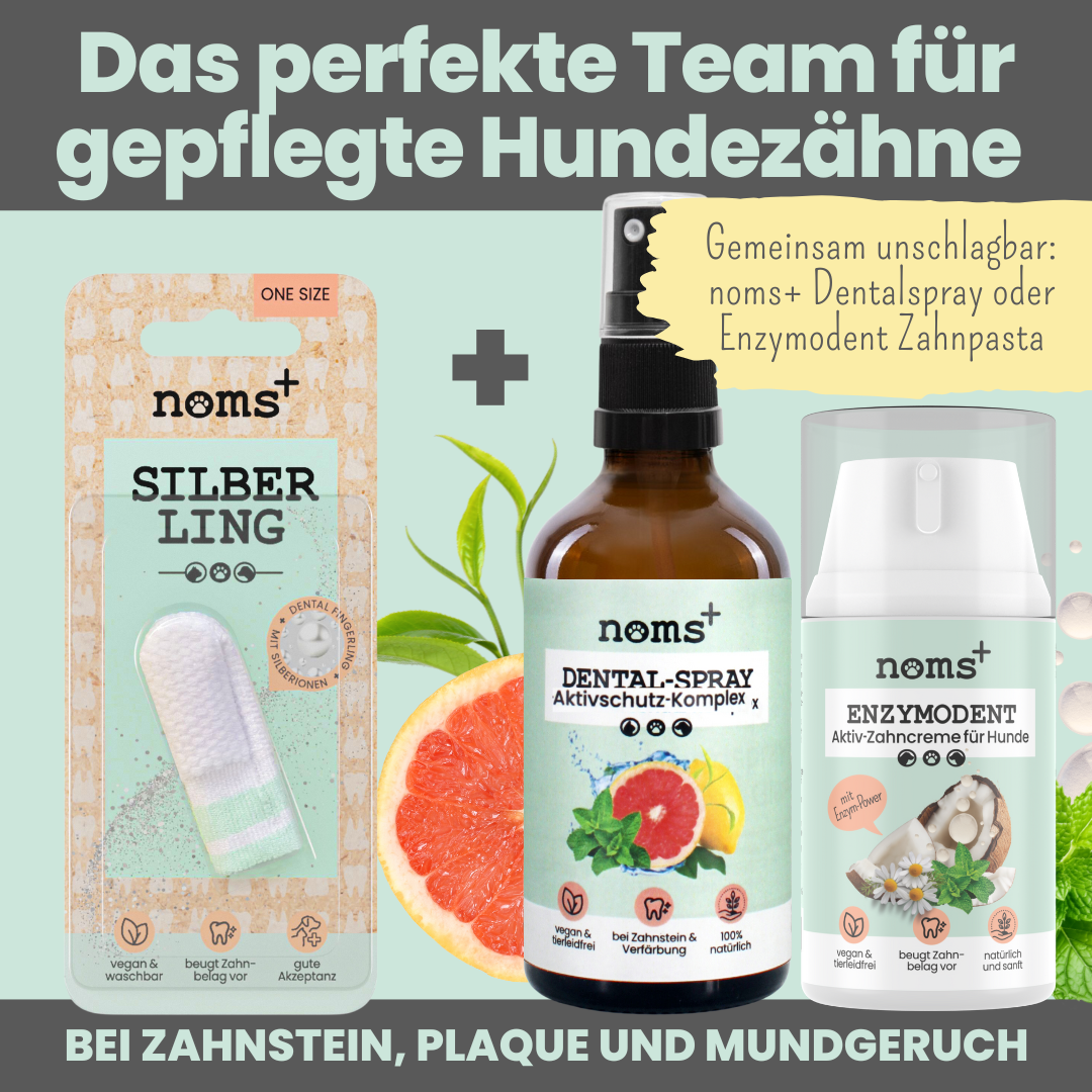 Zahn-Fingerling für Hunde mit Silberionen
