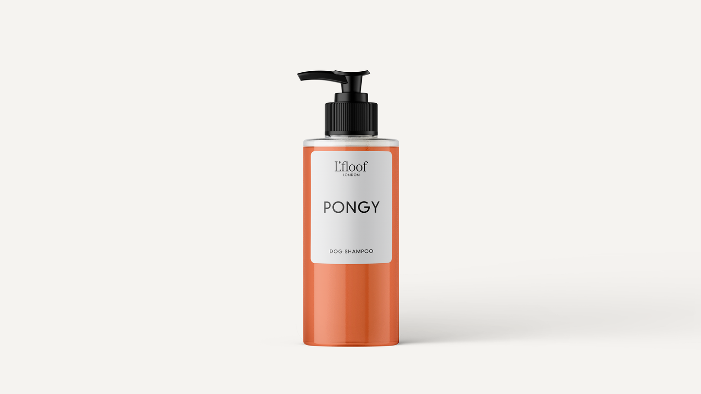 Natürliches Hundeshampoo — Orange/May Chang 300 ml