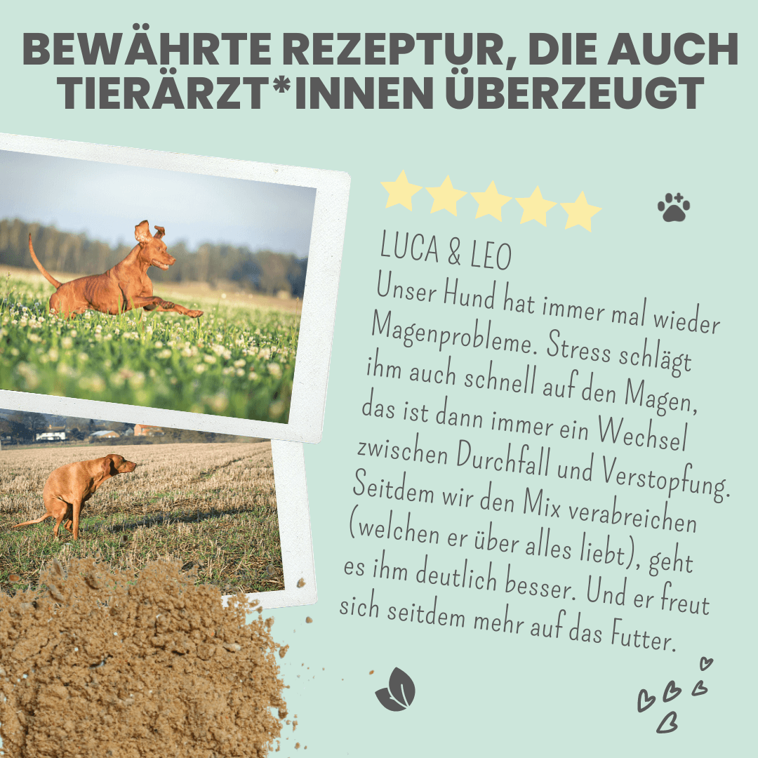 Verdauungsmix für Hunde als Probiotikum