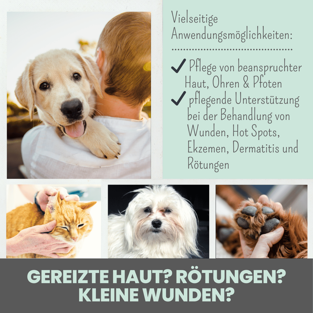 Silberspray für Hunde und Katzen
