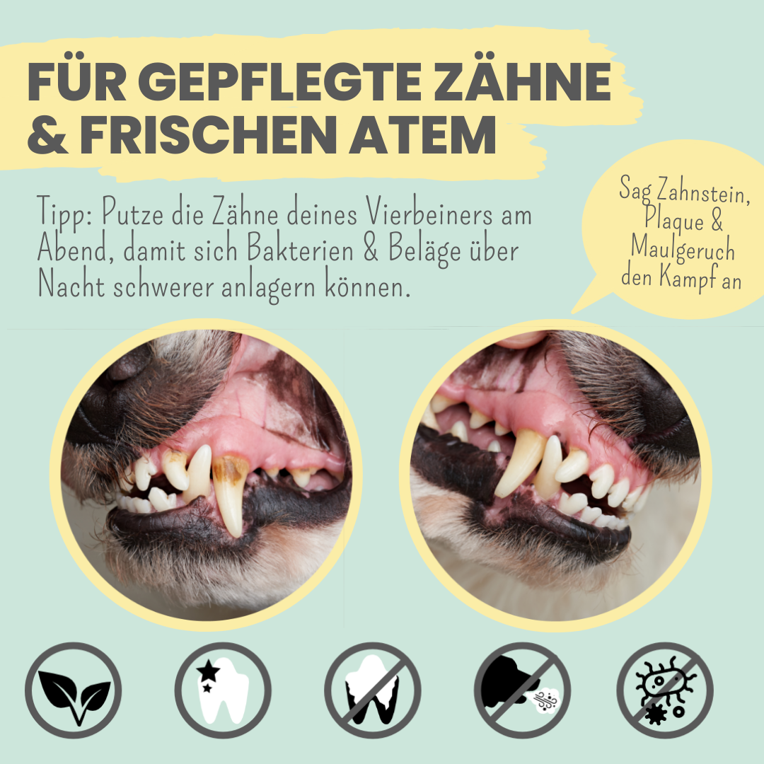 Zahnpasta für Hunde