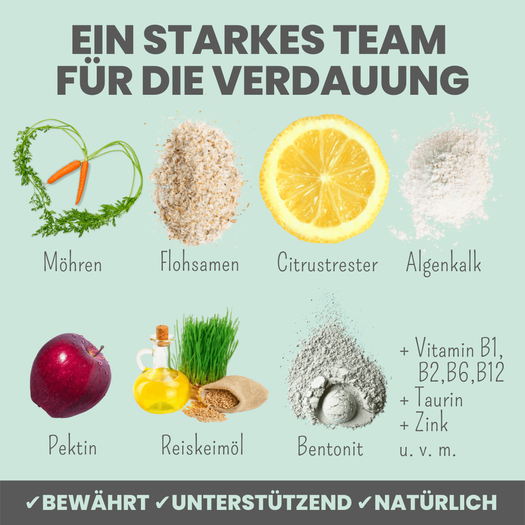 Verdauungsmix für Hunde als Probiotikum