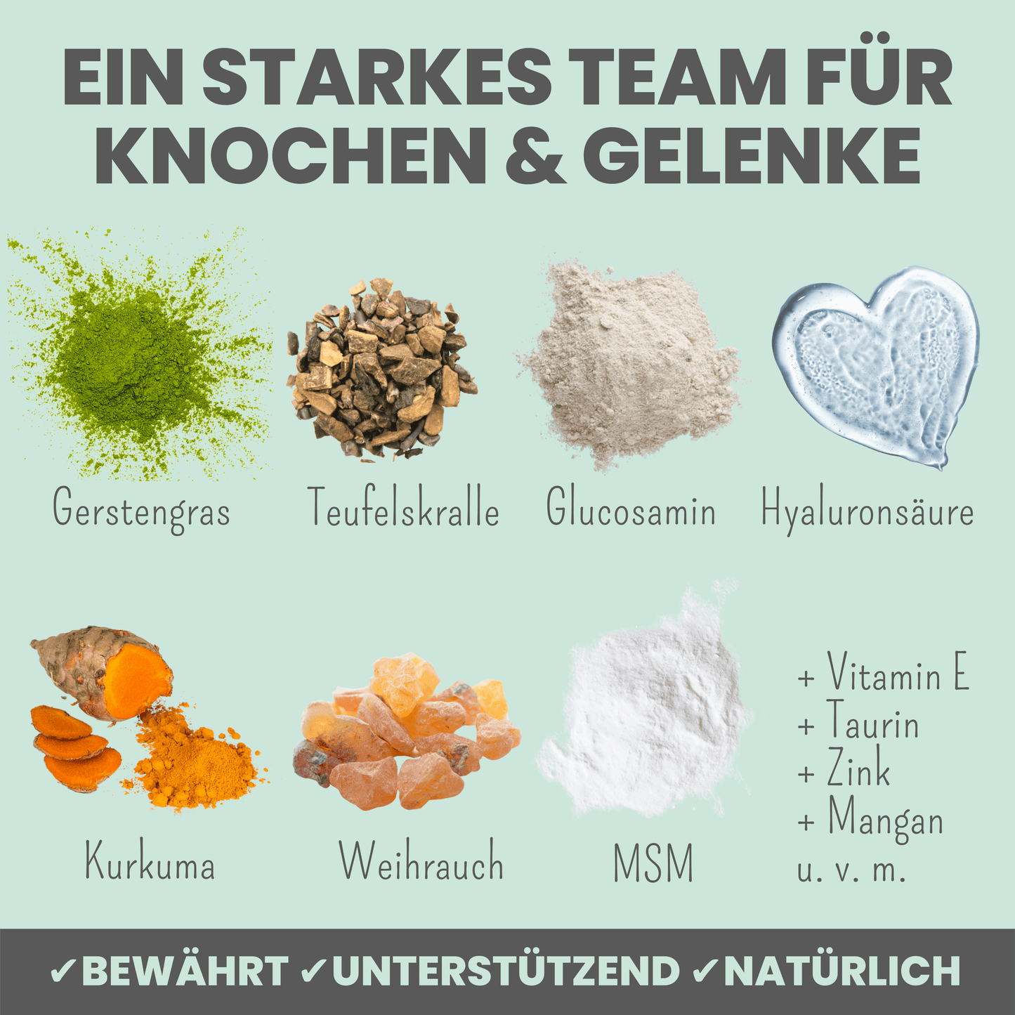 Gelenkmix für Hunde