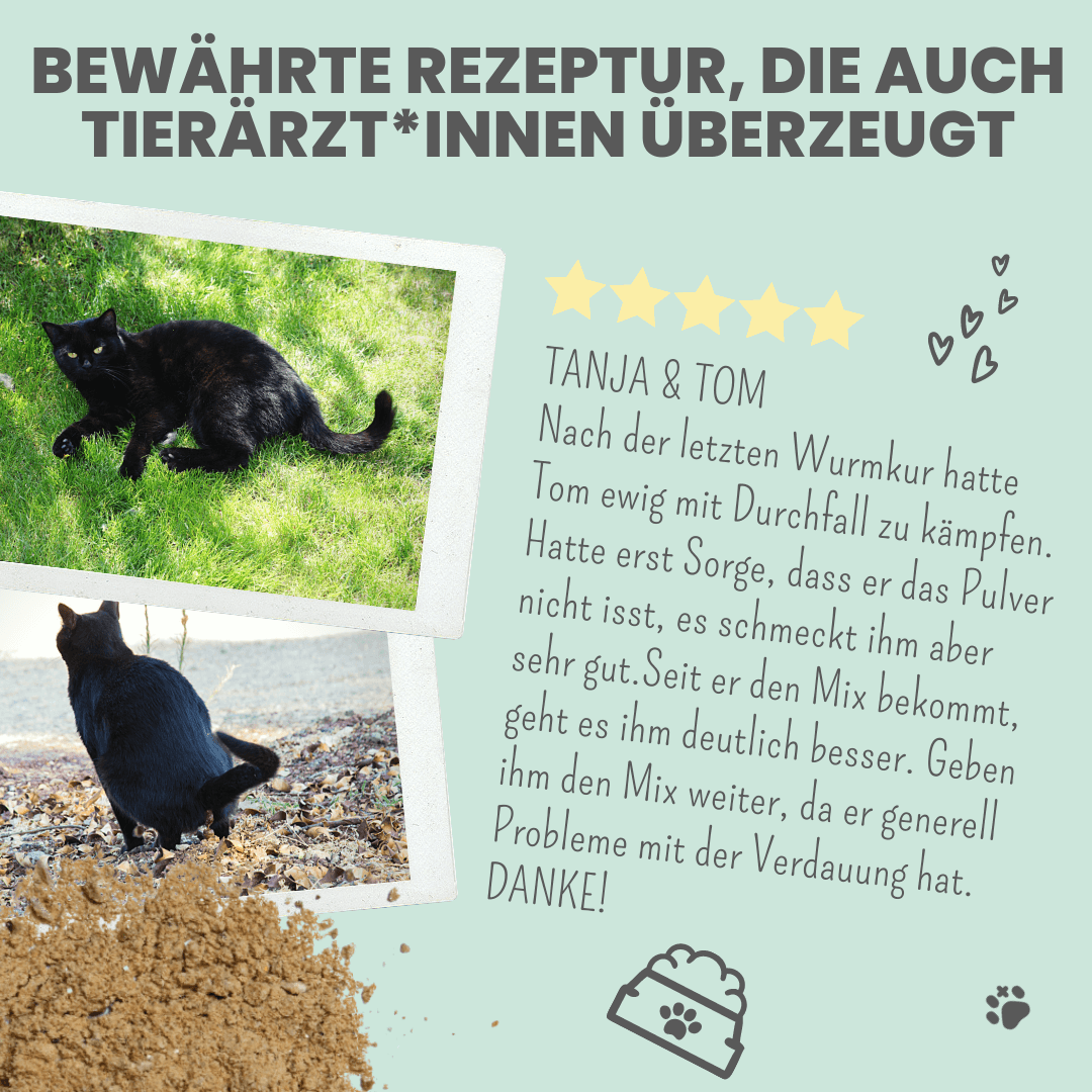 Verdauungsmix für Hunde als Probiotikum