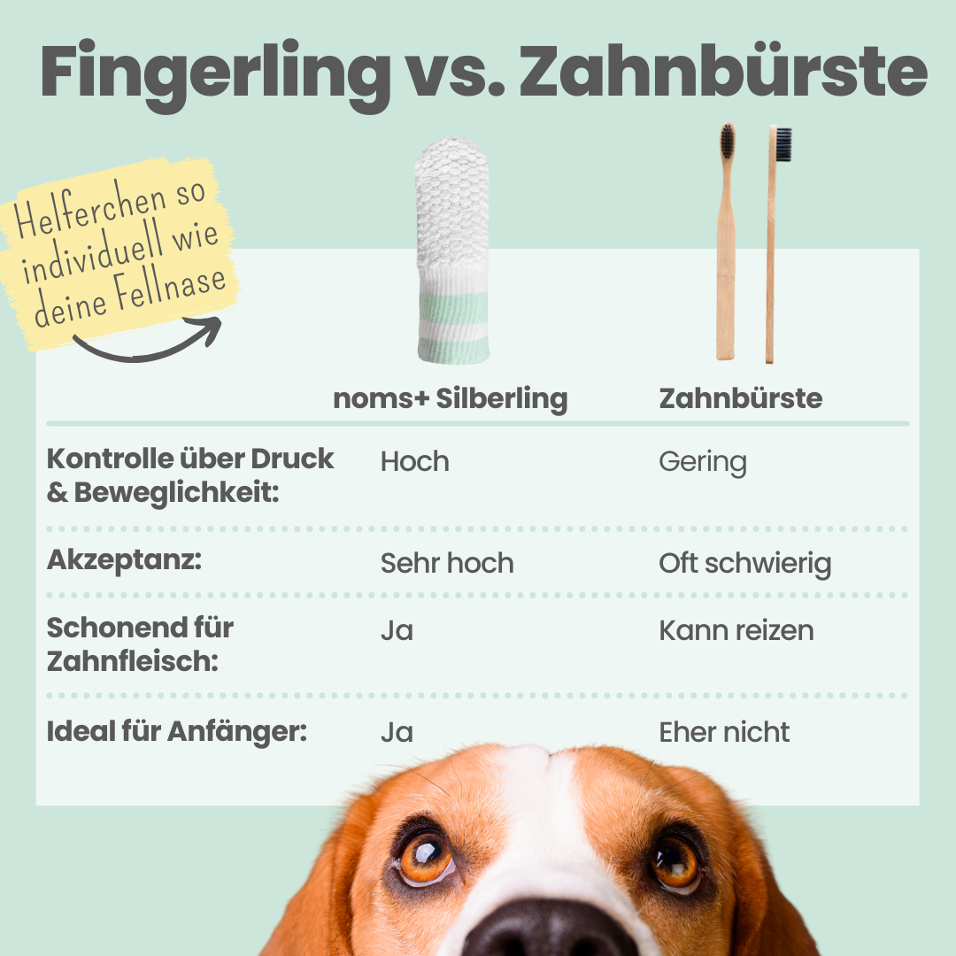Zahn-Fingerling für Hunde mit Silberionen
