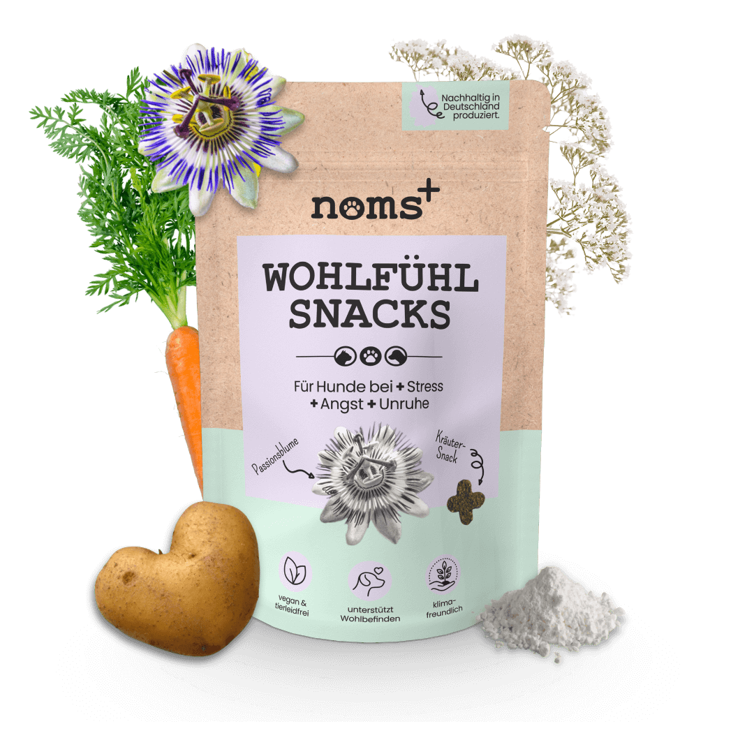 Wohlfühlsnacks für Hunde bei Stress, Angst, Unruhe