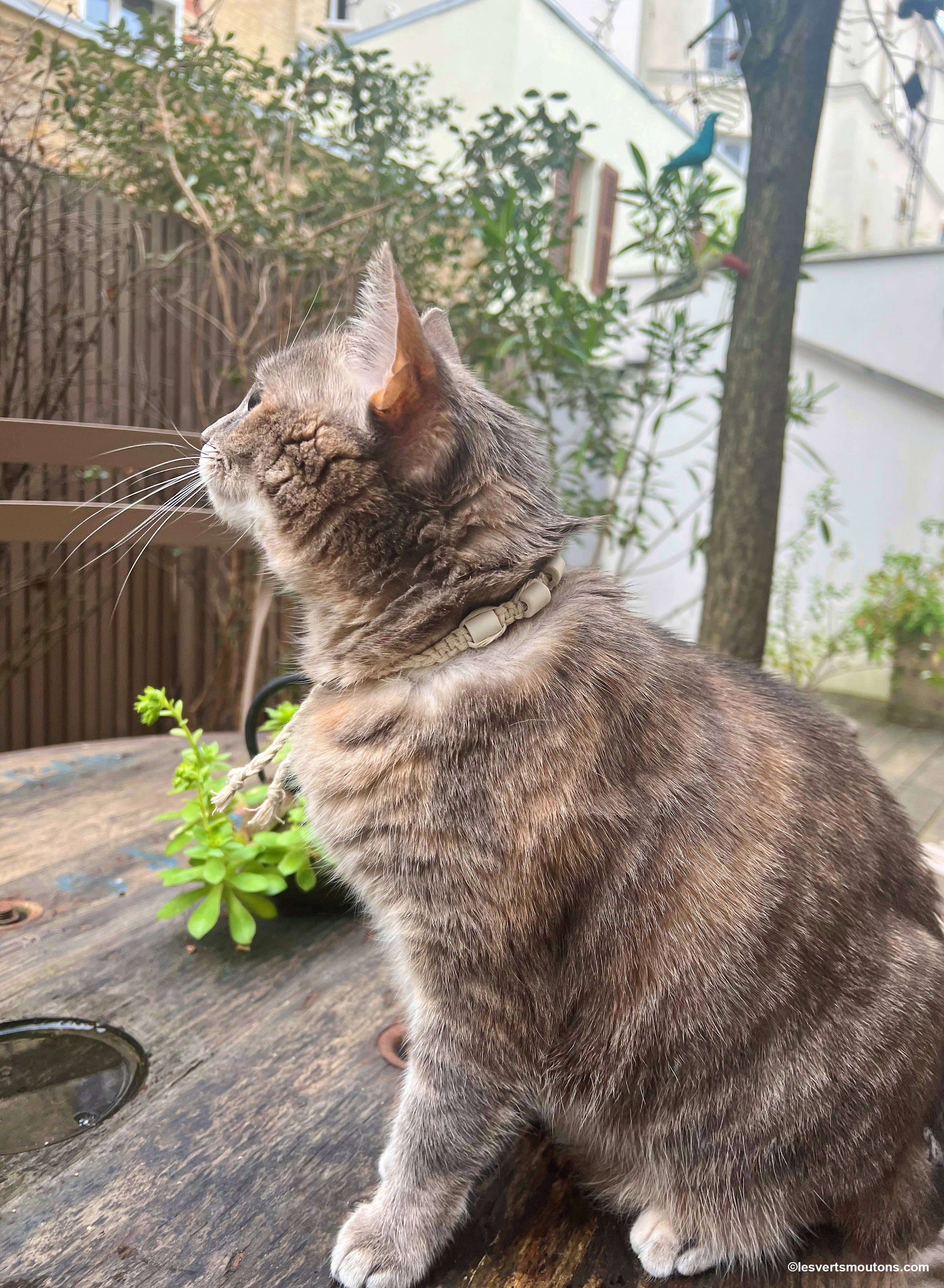 natürliche Halskette aus Hanfseil mit EM Perlen