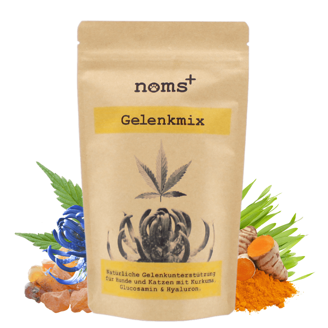 Gelenkmix für Hunde