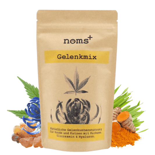 Gelenkmix für Hunde mit Teufelskralle, Kurkuma & Glucosamin