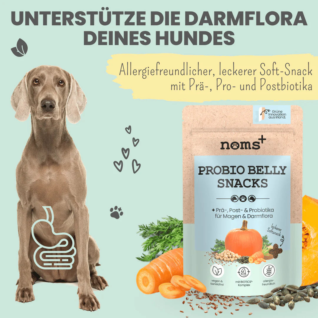 Probio Belly Snacks für Hunde mit BIOTICS³-Komplex