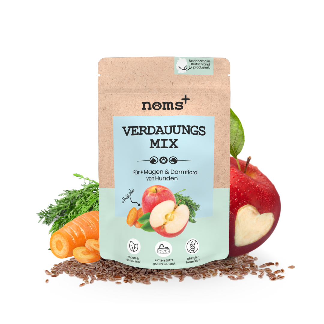 Verdauungsmix für Hunde als Probiotikum