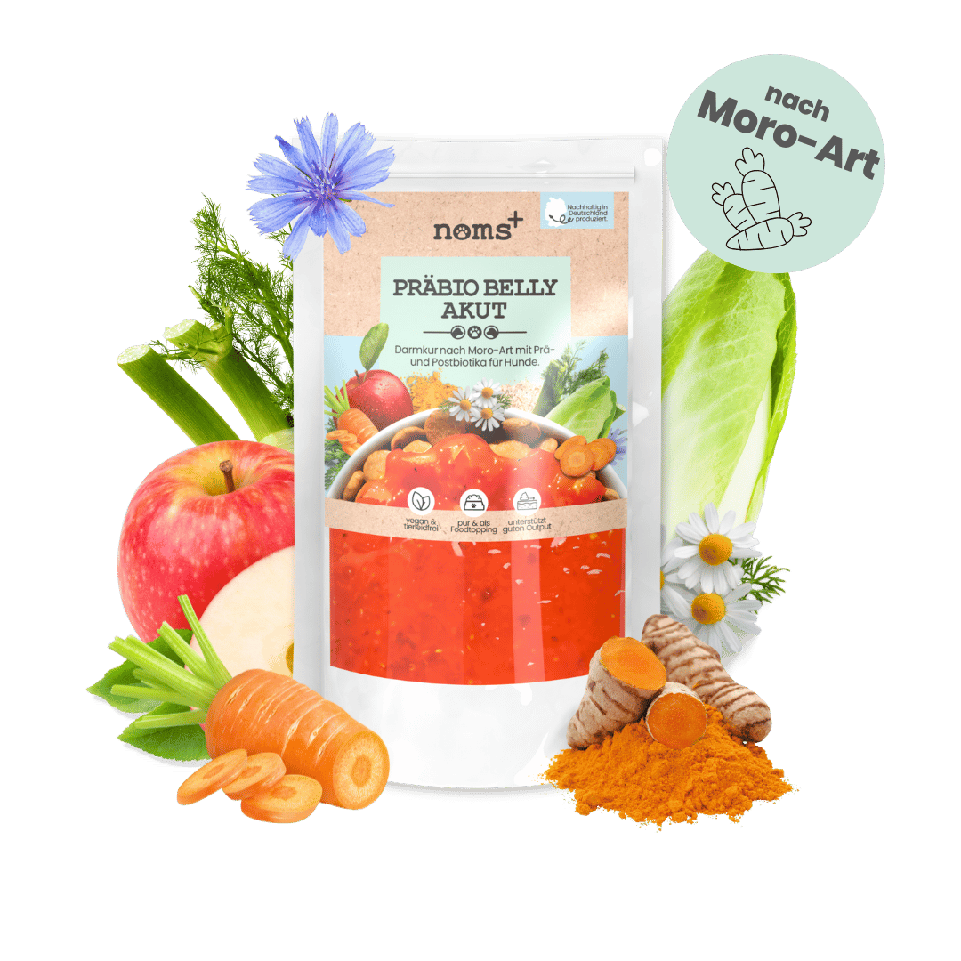 Präbio Belly Akut: pflanzenbasierte Darmkur für Hunde nach Moro-Art