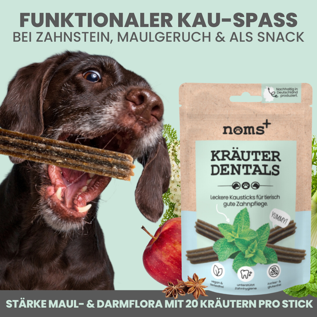 Kräuter Dentals für Hunde