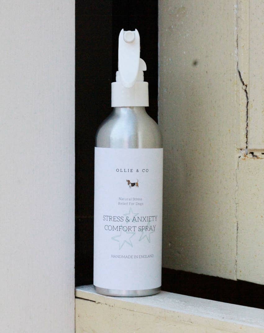 Stress & Anxiety Comfort Hundespray | Natürliche Beruhigung