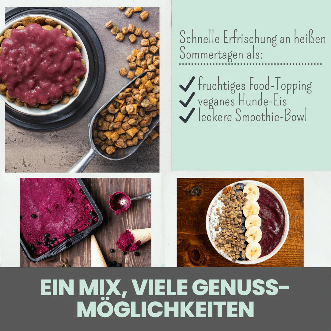 Hunde Smoothie-Bowl