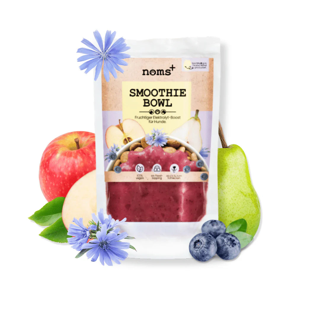 Hunde Smoothie-Bowl