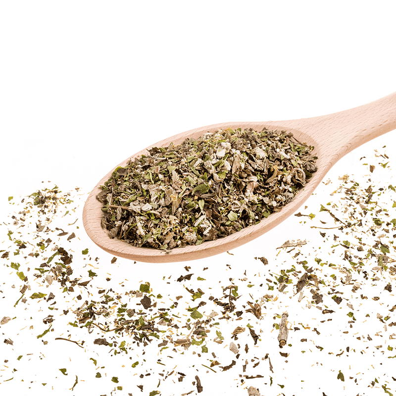 Atemfrisch - Bio-Kräutermix bei Mundgeruch