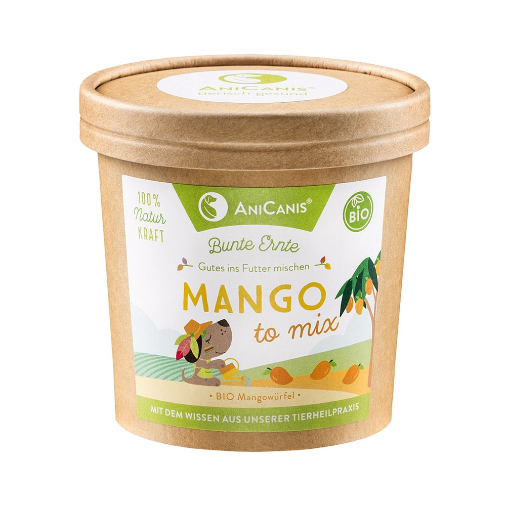 Mango to mix - Bio-Mangowürfel