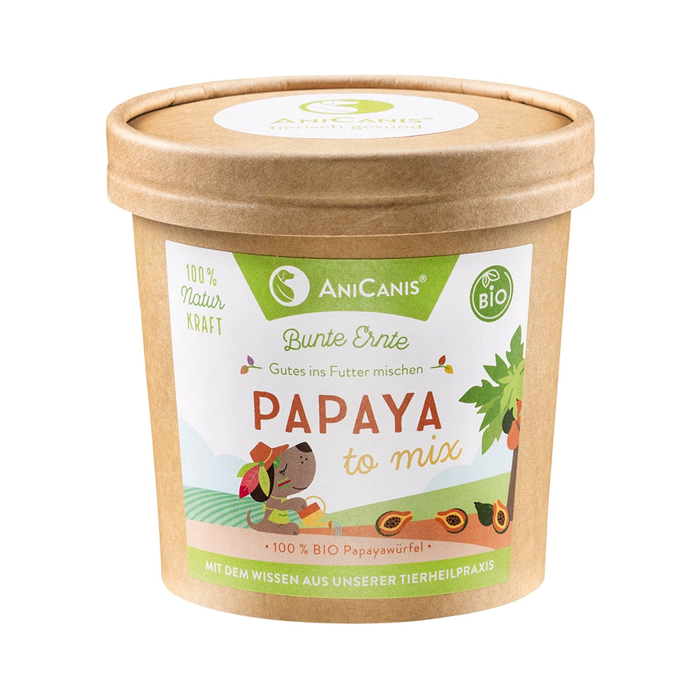 Papaya to mix - Bio-Papayawürfel