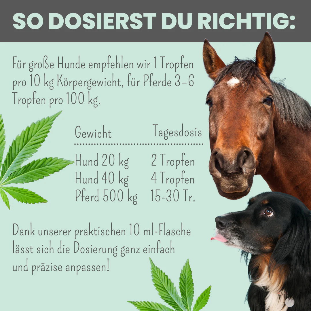15% CBD Tropfen für Hunde und Pferde (10ml)