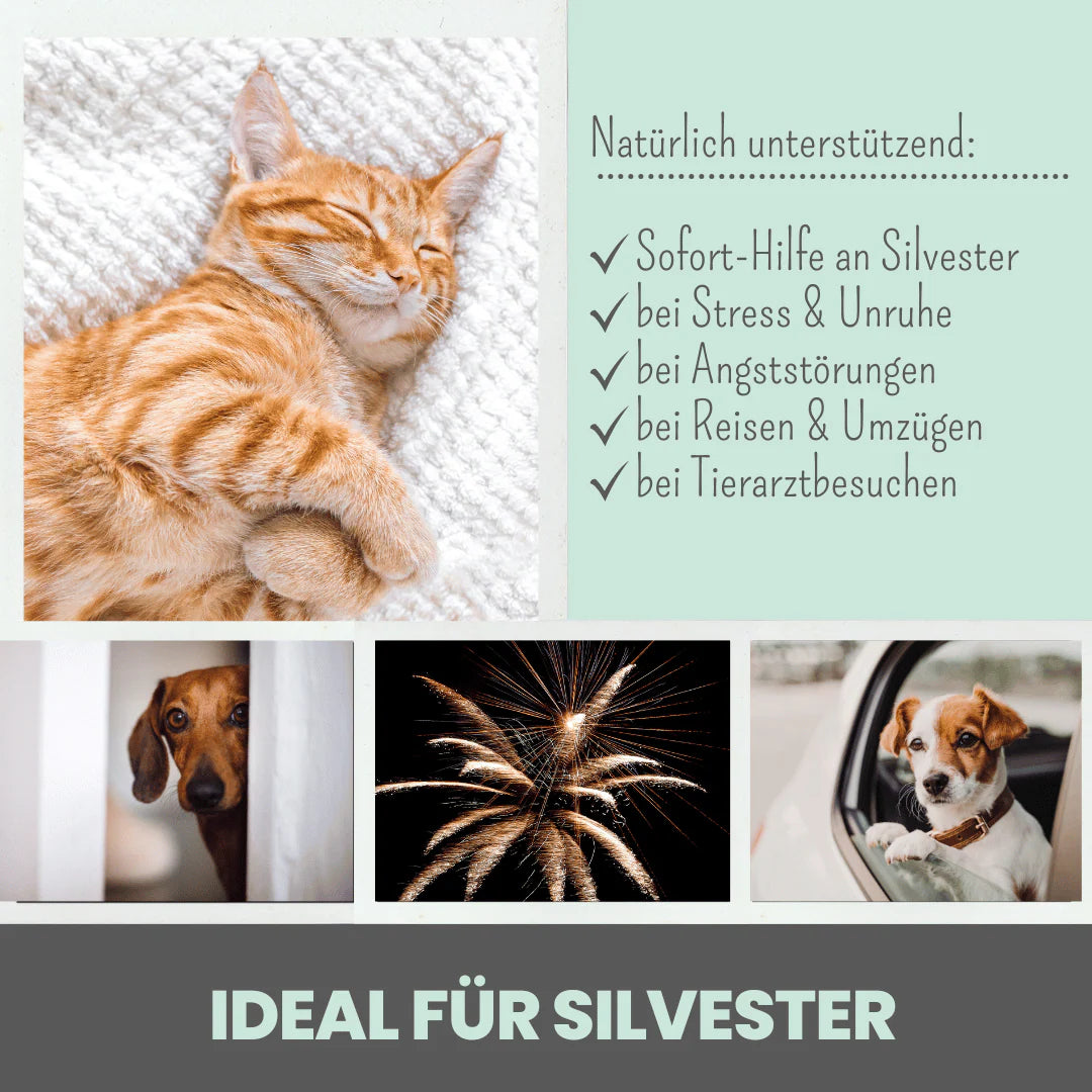 3% CBD Tropfen für Katzen und kleine Hunde (10ml)