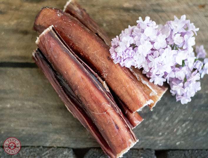 Ochsenziemer 10 Stück