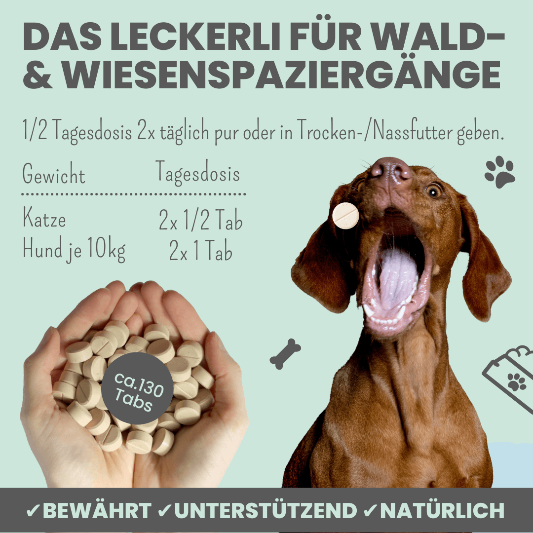 Zistrosen Tabs - natürliches Zistrosen-Leckerli zur Saison