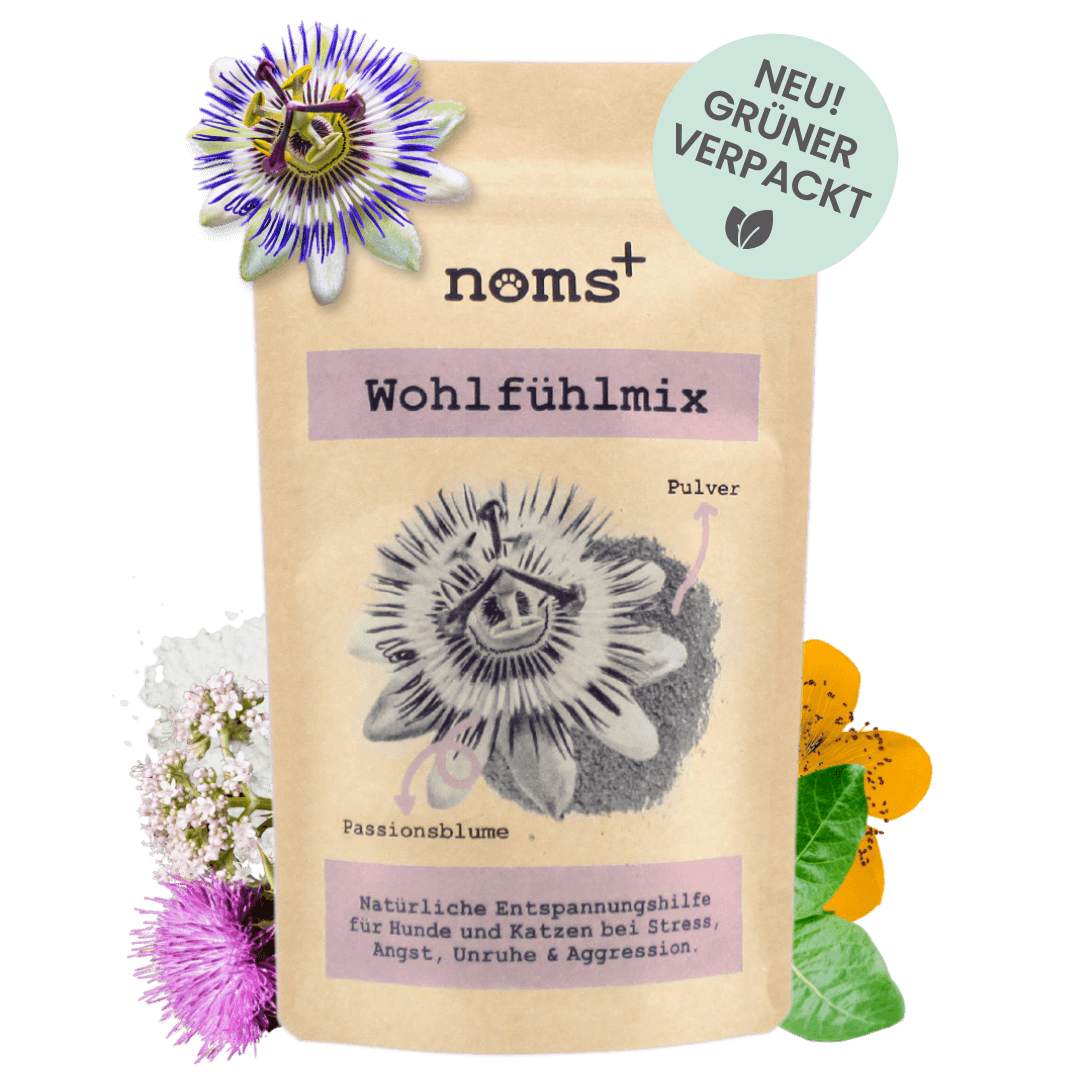 Wohlfühlmix für Hunde bei Stress, Angst, Unruhe