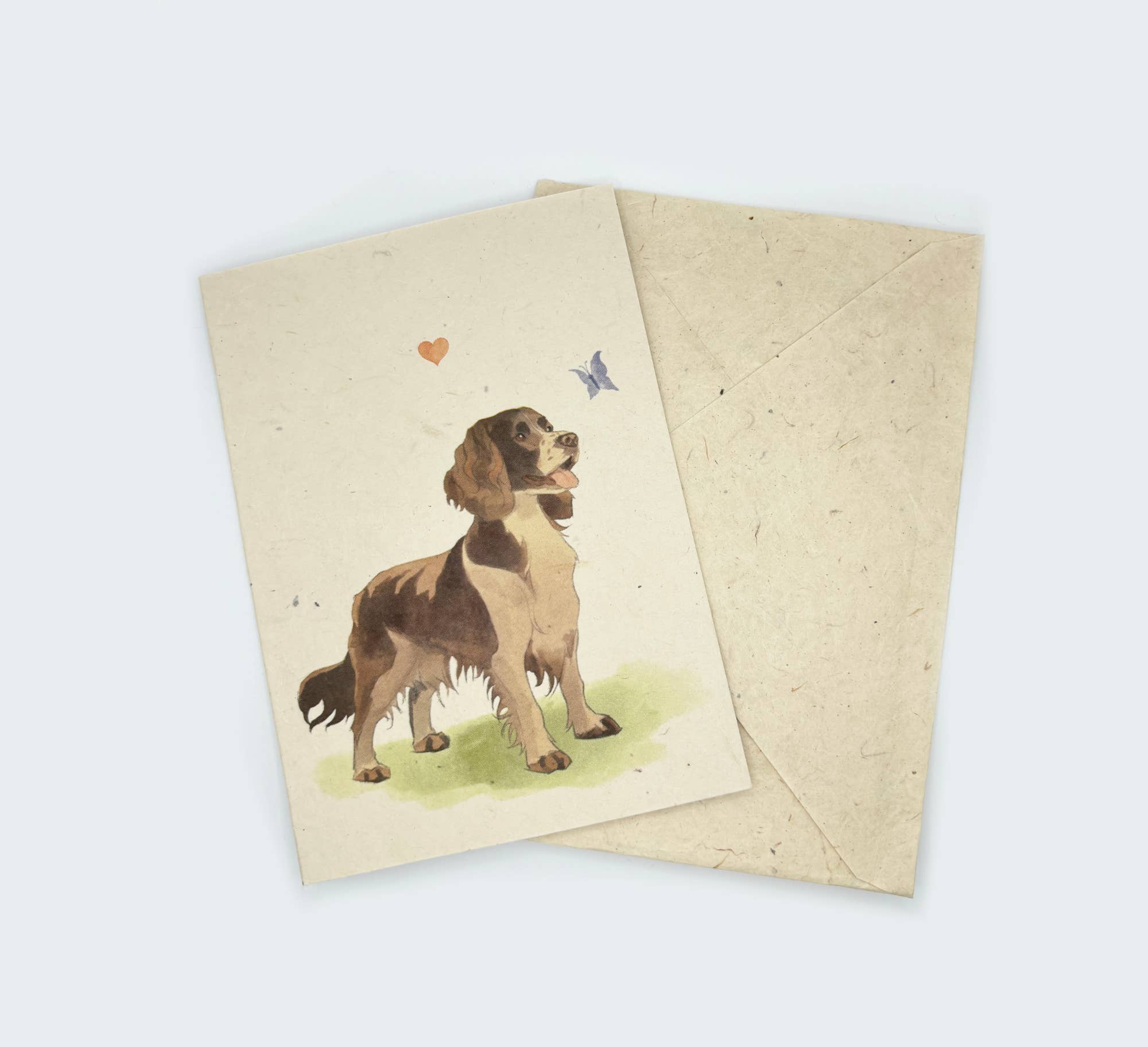 Grusskarte A6, Lokta-Papier, handgezeichnet, Springer Spaniel