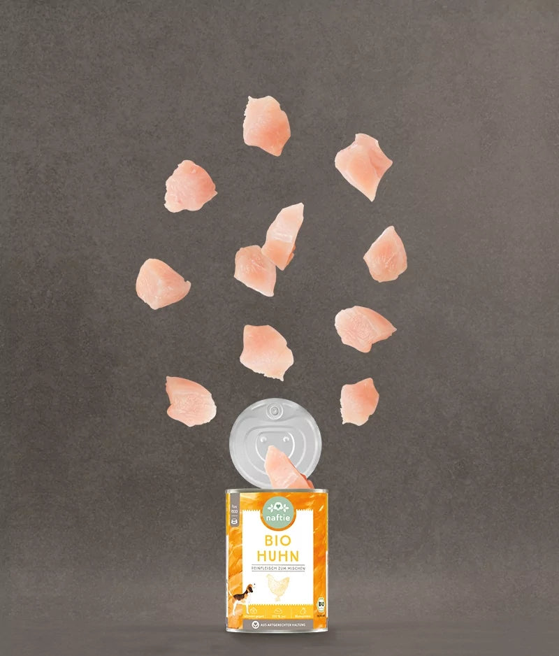 Huhn BIO (400g)