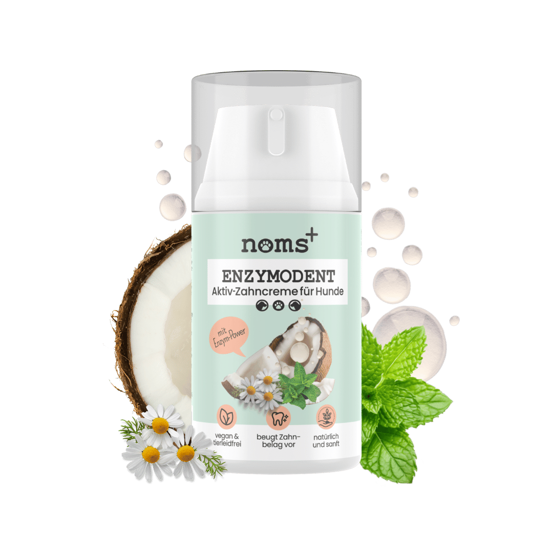 Zahnpasta für Hunde