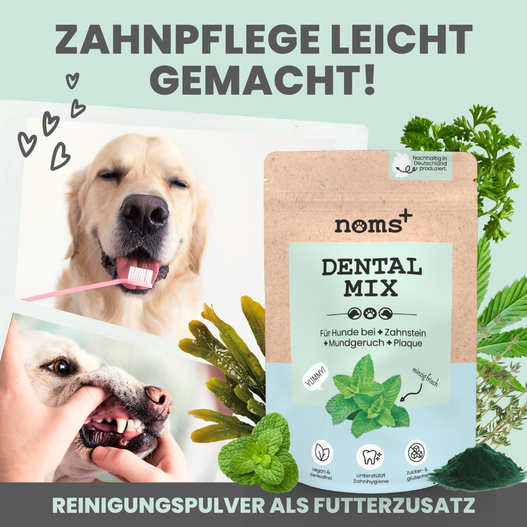 Dentalmix für Hunde
