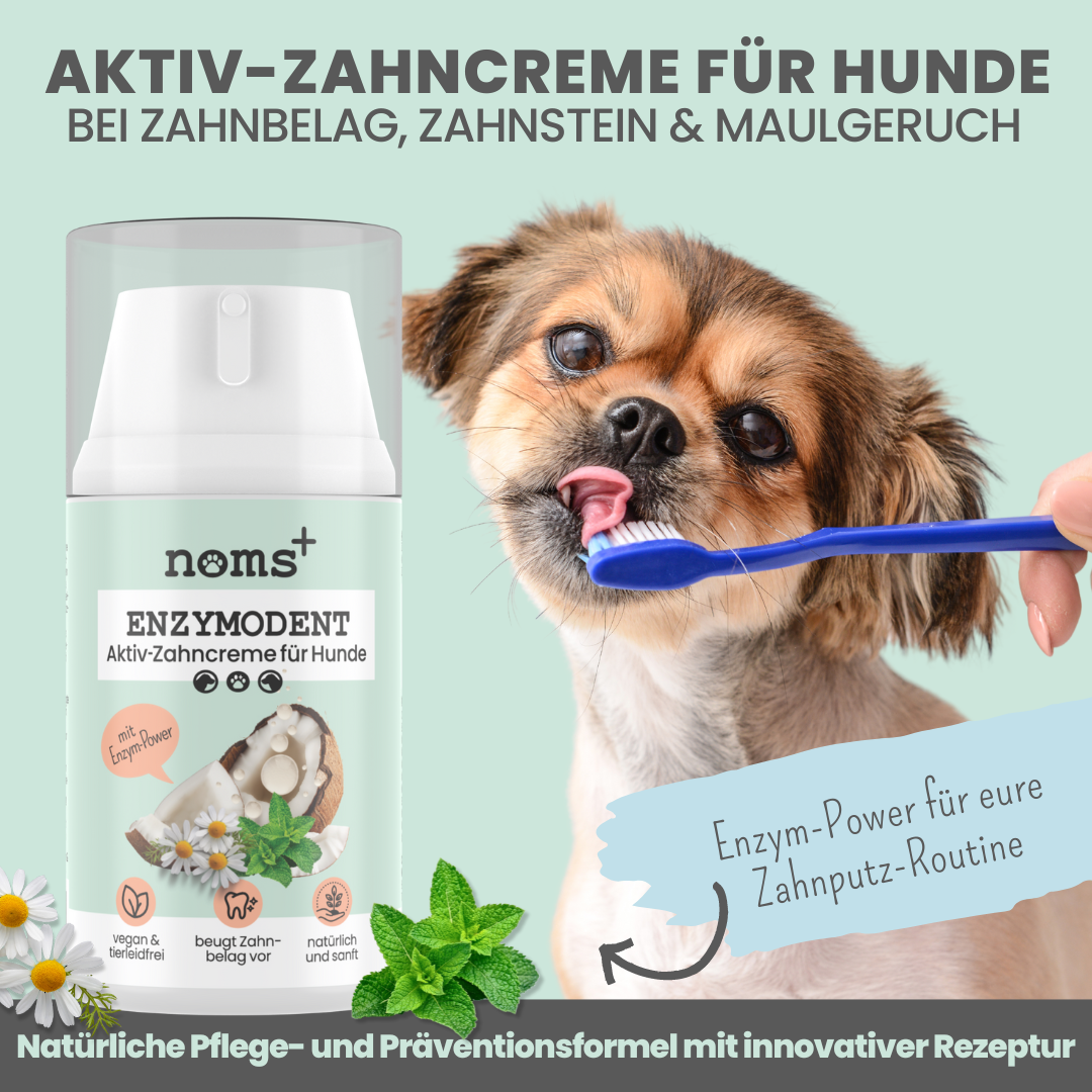 Zahnpasta für Hunde