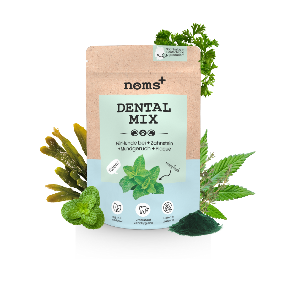 Dentalmix für Hunde